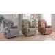 Ashfield Standard Dual Motor Riser Recliner - ZERO RATE VAT 
