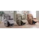 Ashfield Standard Dual Motor Riser Recliner - ZERO RATE VAT 
