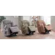 Ashfield Standard Dual Motor Riser Recliner - ZERO RATE VAT 